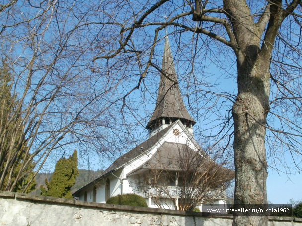 photo 257502