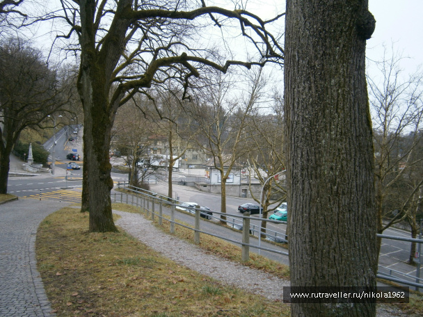 photo 257517