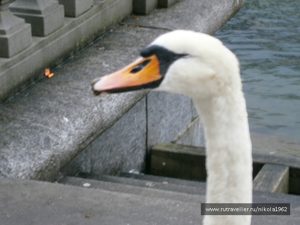 photo 257520