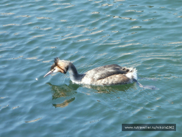 photo 257525