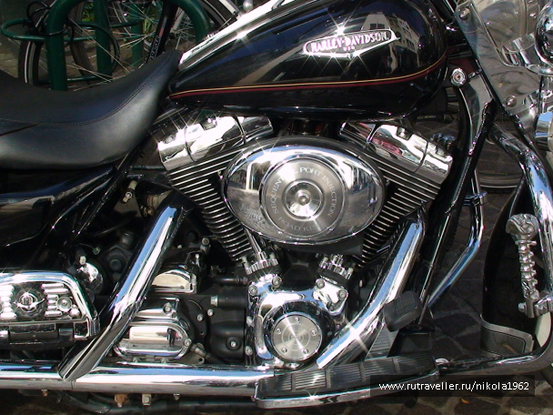 photo 273846
