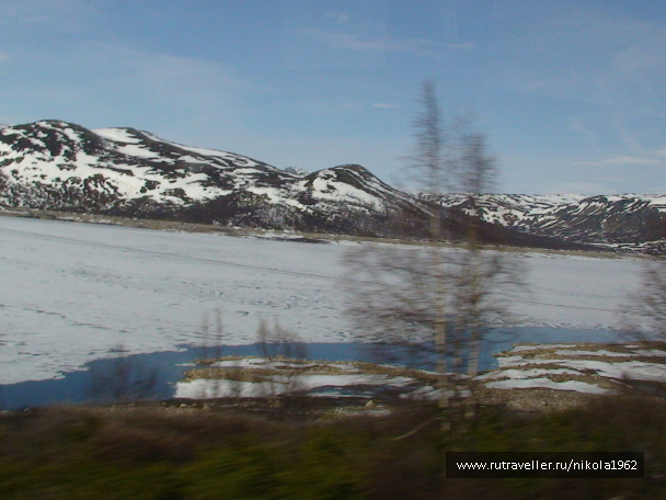 photo 273882