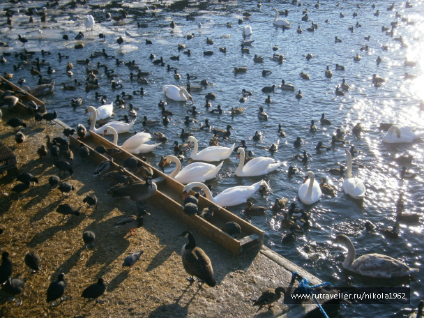 photo 292304