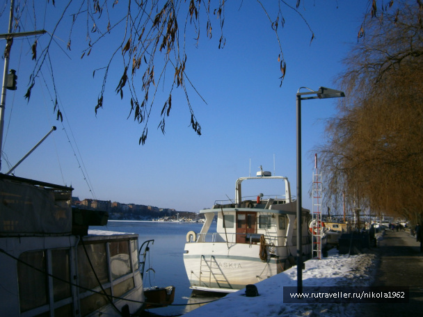 photo 292312