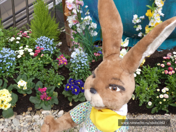photo 326105