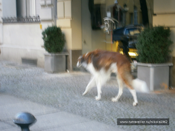 photo 631316