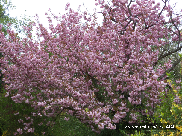 photo 720694