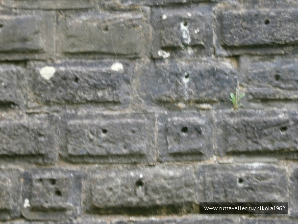 photo 741560