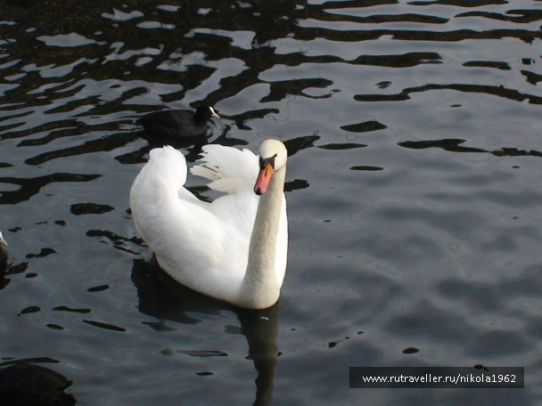photo 562111