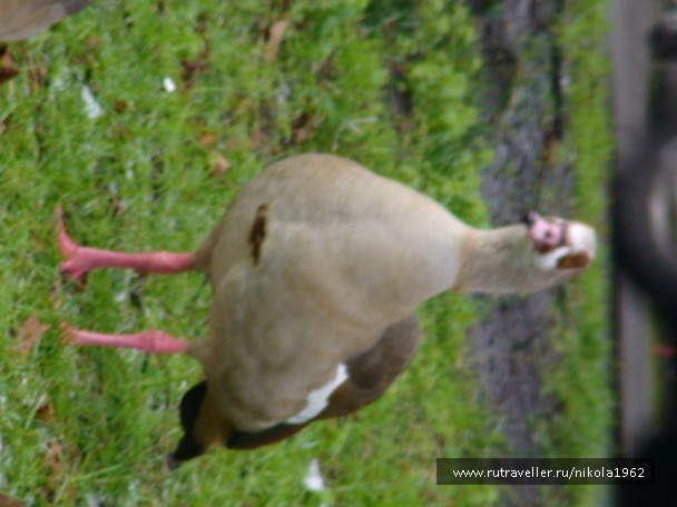 photo 562112