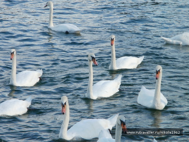 photo 564629