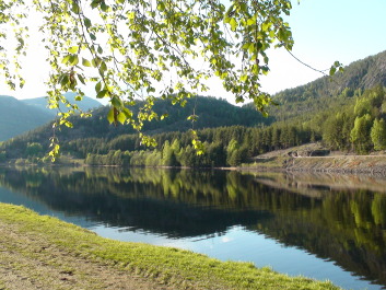 photo 562100