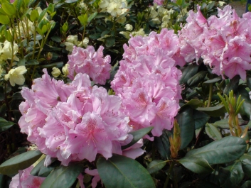 photo 738846