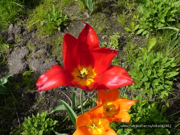 photo 738847