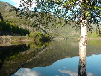 photo 738857