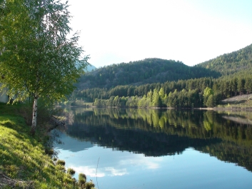 photo 738858