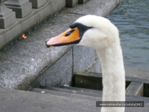 photo 562596
