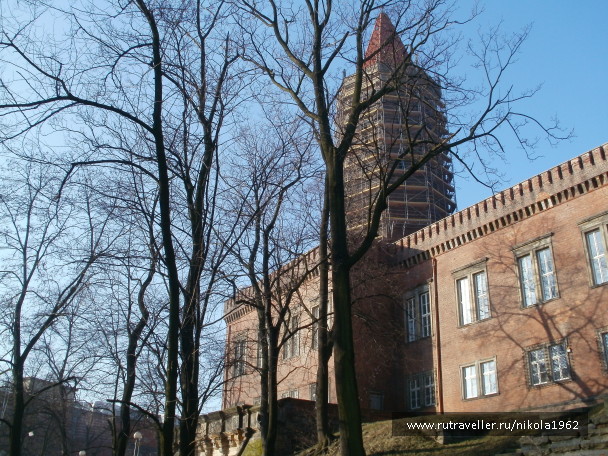 photo 595627
