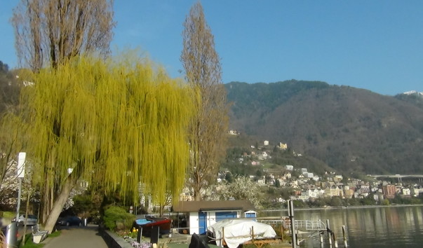 DSC00034