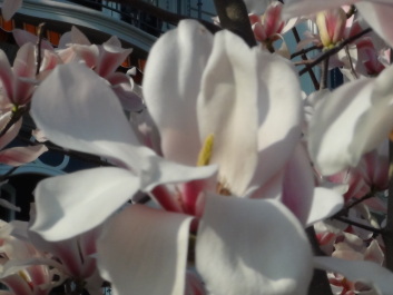 photo 582501