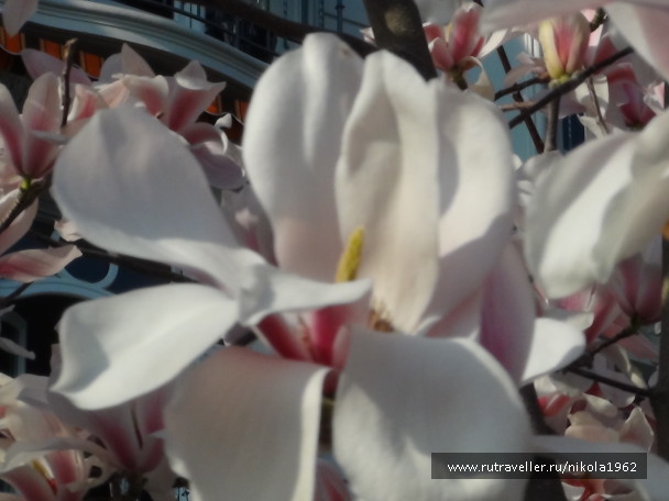 photo 582501