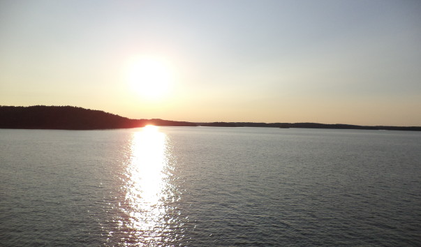 DSC00608