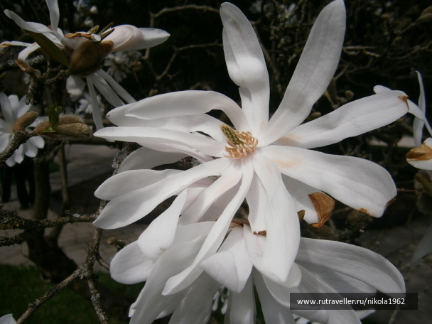 photo 1027144