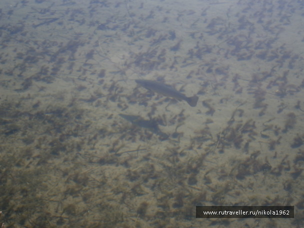photo 1027150
