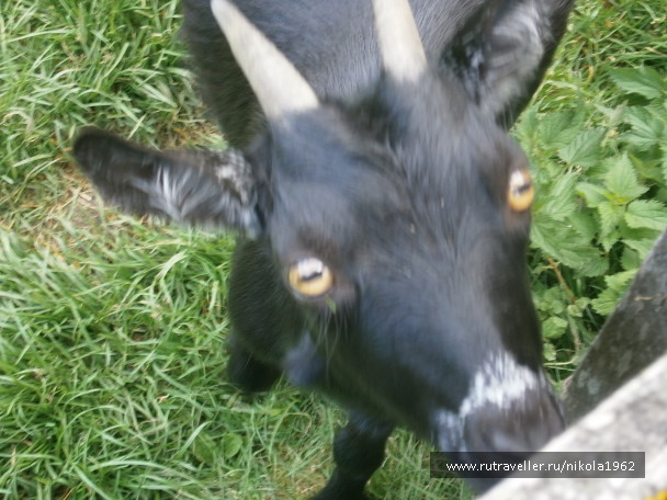 photo 1121505
