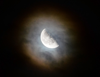 photo 156868