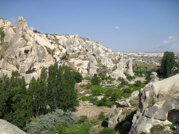 photo 210772