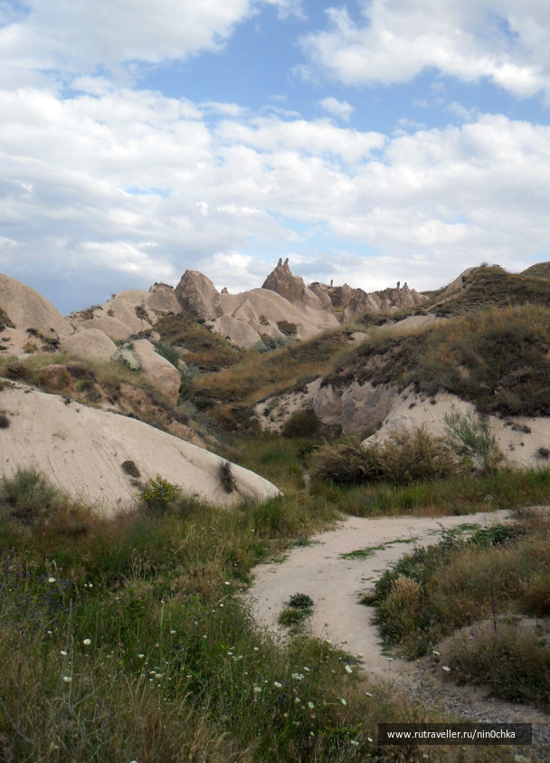 photo 258773