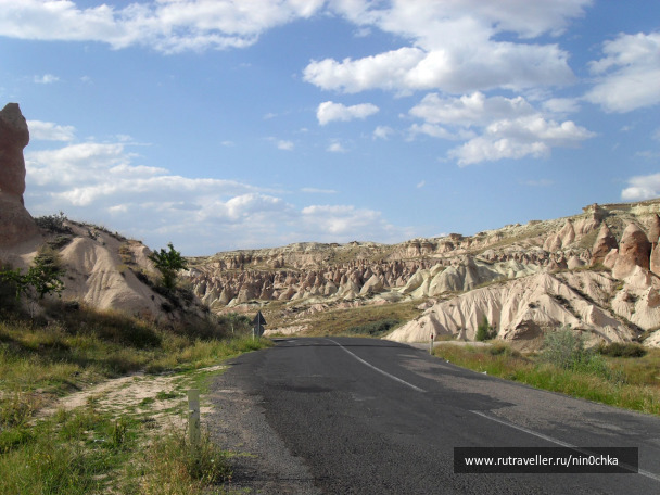 photo 258774