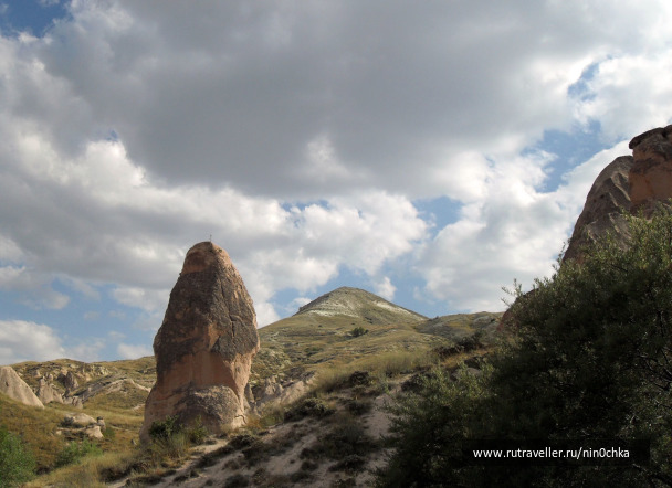 photo 258775