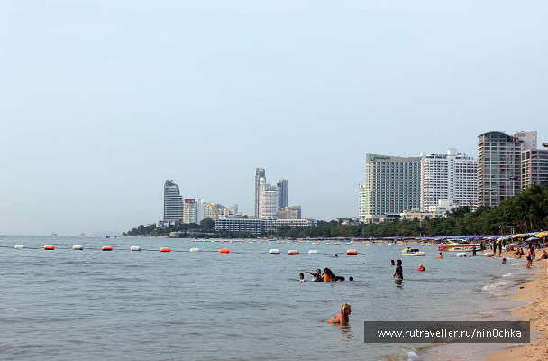 photo 275564