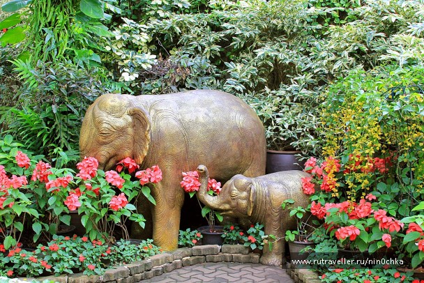 photo 283748