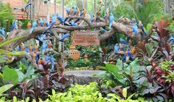 Nongnooch Garden