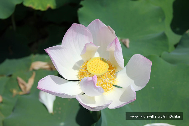 photo 280789