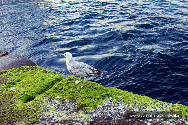 photo 360639