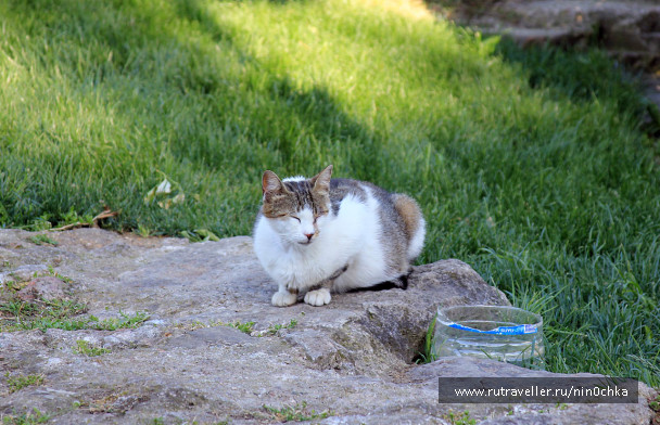 photo 369351