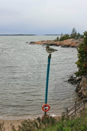 photo 881036