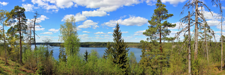 photo 1479493