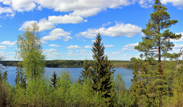 IMG_7016_Panorama
