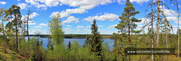 photo 1479493