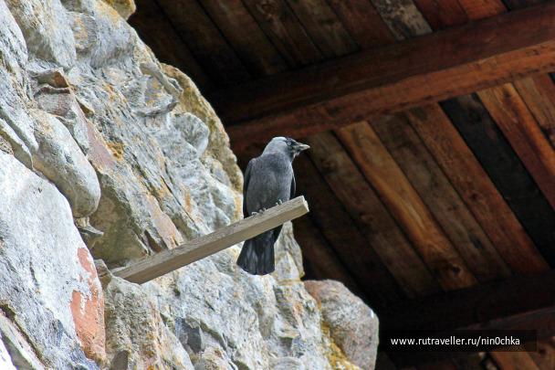 photo 1482022