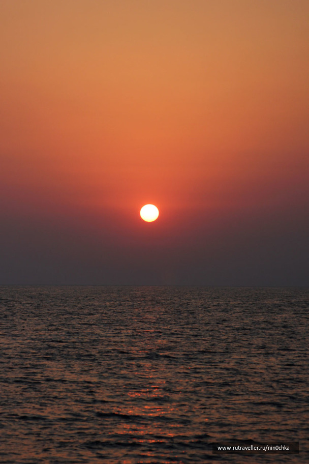 photo 1093129