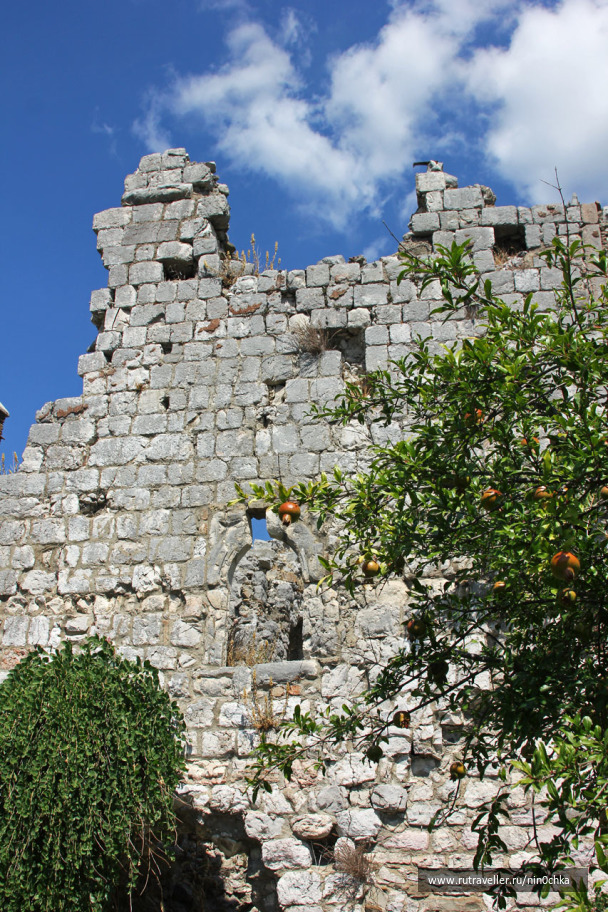 photo 1142244