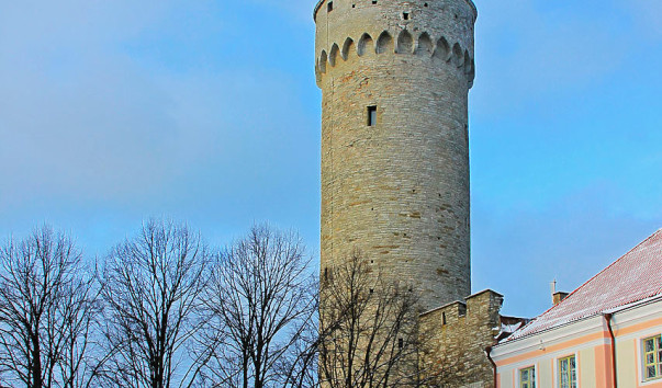 IMG_6443