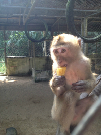photo 706493
