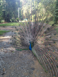 photo 706494